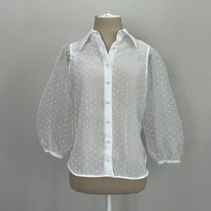 Zara sheer button down blouse with puffy sleeves.